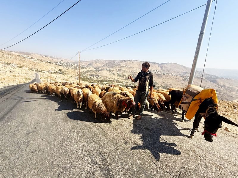 A shepherd’s road through the hills